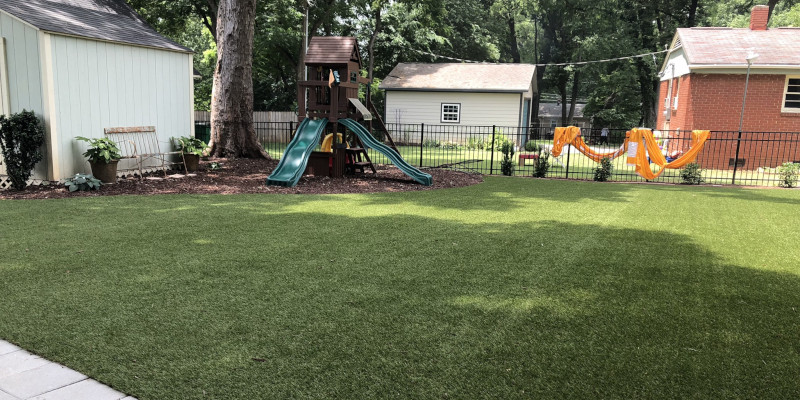 Playground Grass in Charlotte, North Carolina