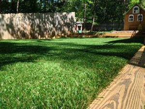 Upgrade Your Play Areas with Playground Grass