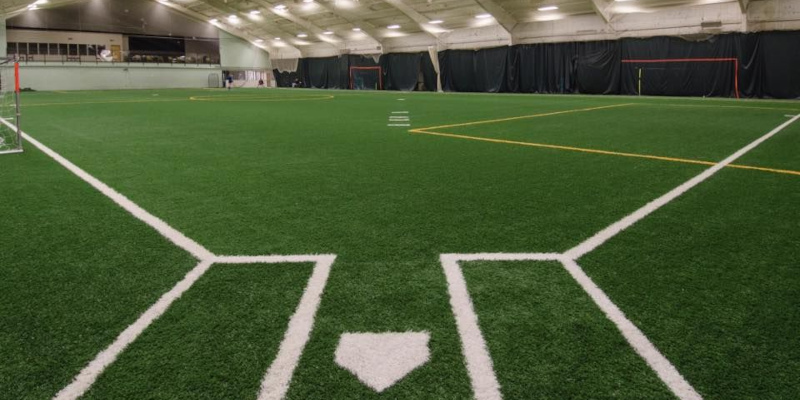 Artificial Grass Suppliers in Charlotte, North Carolina