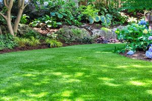 The Benefits of Synthetic Turf